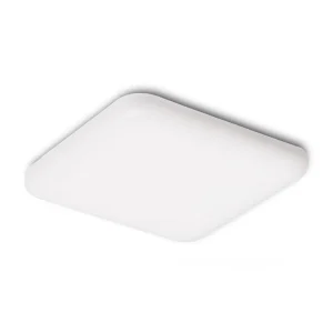 BELI SQ 10
